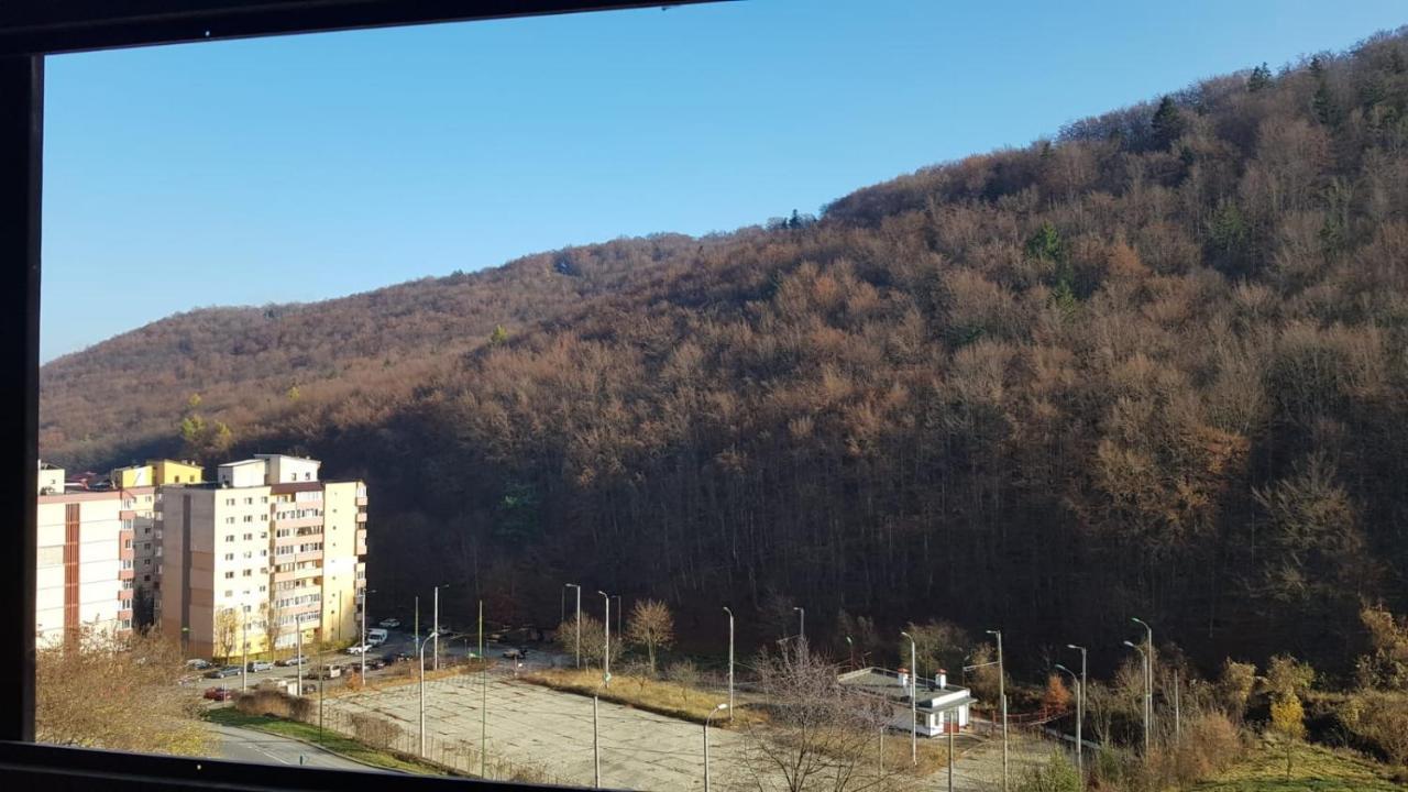 Mountain View * Braşov