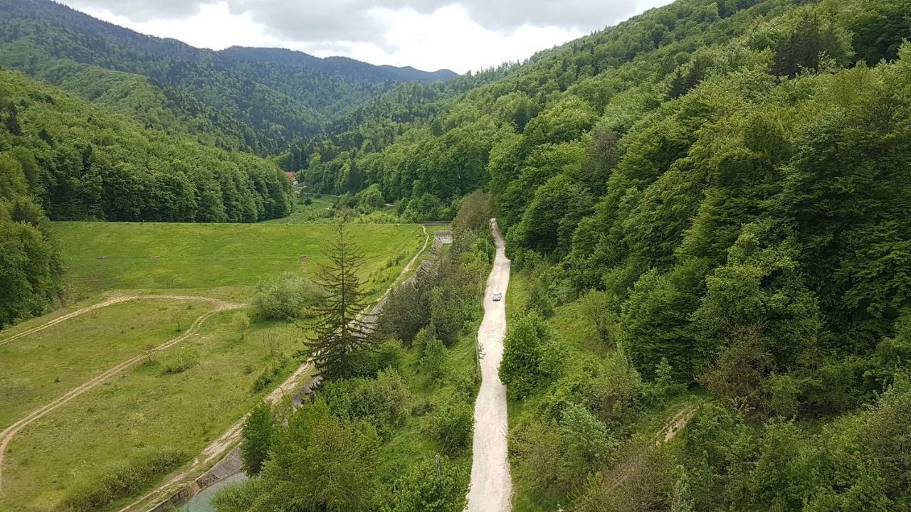 Appartamento Mountain View *