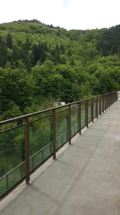 Appartamento Mountain View Braşov