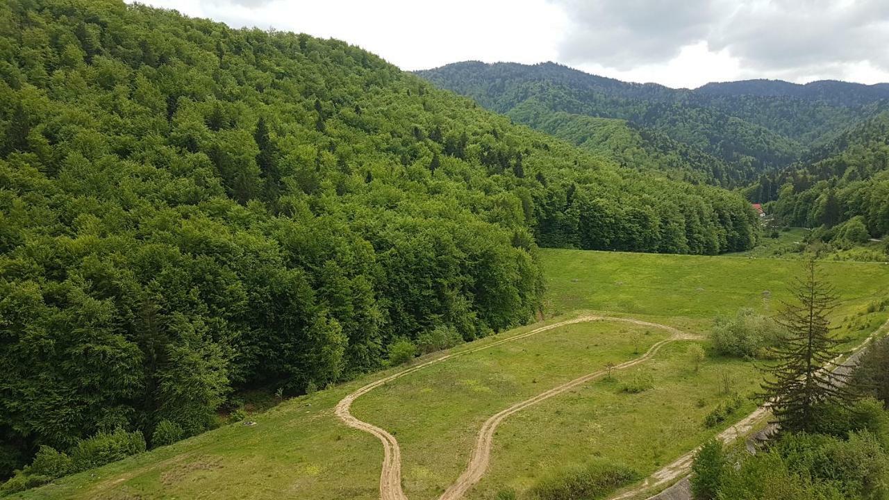 Appartamento Mountain View