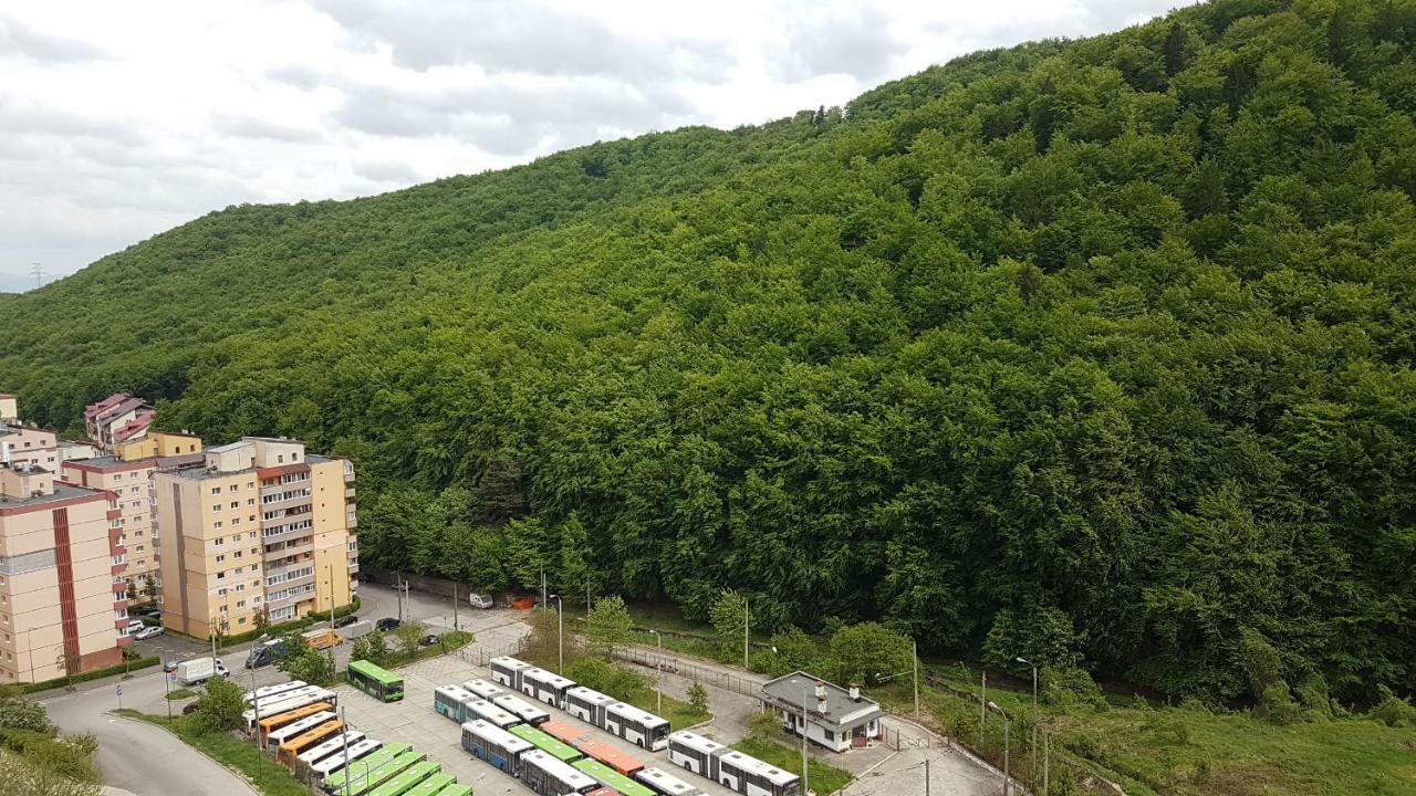 Mountain View Appartamento *