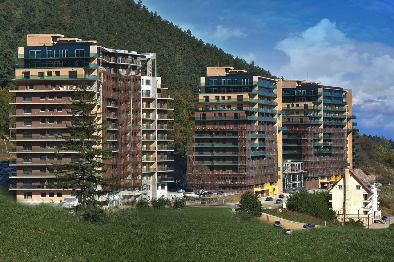 Mountain View Braşov